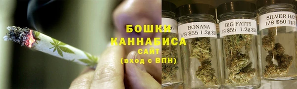 PSILOCYBIN Волосово