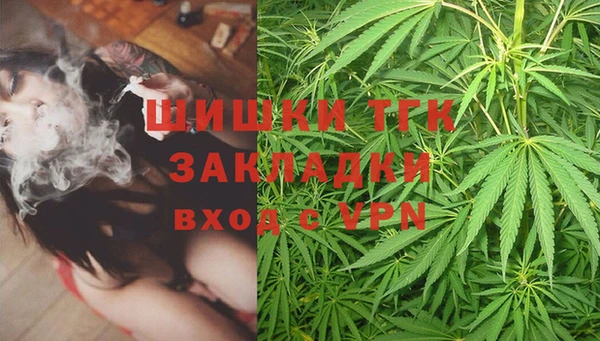 PSILOCYBIN Волосово